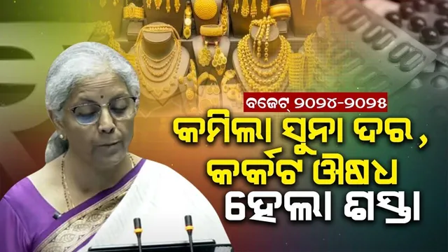 ଖୁସି କରାଇଲେ ସୀତାରମଣ, ଶସ୍ତା ହେଲା ଏହି ସବୁ ଜିନିଷ
