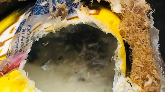 ଛାତ୍ରଛାତ୍ରୀଙ୍କୁ ବଣ୍ଟା ଯାଇଥିବା ପ୍ୟାକେଟ କ୍ଷୀରରୁ ବାହାରିଲା ପୋକ