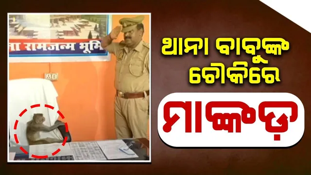 ପୁଲିସ ଷ୍ଟେସନ ଚୌକିରେ ମାଙ୍କଡ଼ ବସିଥିବା ଦେଖି ସ୍ୟାଲୁଟ ମାରିଲେ ସବଇନ୍ସପେକ୍ଟର