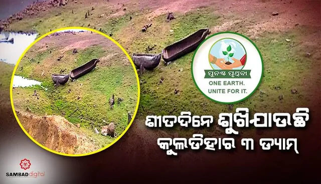 ଶୀତଦିନେ ଶୁଖିଯାଉଛି କୁଲଡିହାର ୩ ଡ୍ୟାମ୍‌: ଆଉ ଶୁଭୁନି ବିଦେଶାଗତ ପକ୍ଷୀଙ୍କ କଳରବ