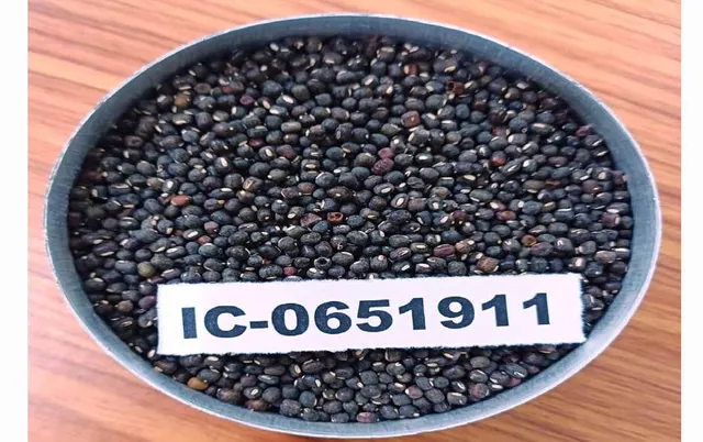 ଓୟୁଏଟିର ‘ପ୍ରଥମା’କୁ ଉନ୍ମୋଚନ କଲେ ପ୍ରଧାନମନ୍ତ୍ରୀ: କ୍ଷୀର ଉତ୍ପାଦନ ବୃଦ୍ଧିରେ ସହାୟକ ହେବ