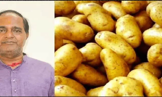 ଆବଶ୍ୟକ ପଡ଼ିଲେ ପଞ୍ଜାବରୁ ମଗାଯିବ ଆଳୁ: ମନ୍ତ୍ରୀ କୃଷ୍ଣଚନ୍ଦ୍ର ପାତ୍ର