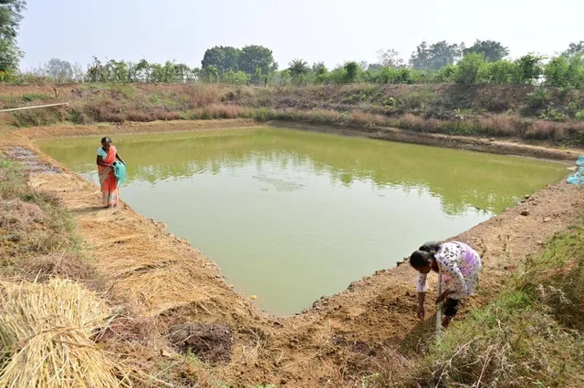ଚାଷୀଙ୍କ ଦୀର୍ଘସ୍ଥାୟୀ ଜୀବିକା ଓ ଭୂତଳ ଜଳସ୍ତର ହ୍ରାସ ନିୟନ୍ତ୍ରଣ ଲାଗି ବିଶେଷ ପଦକ୍ଷେପ