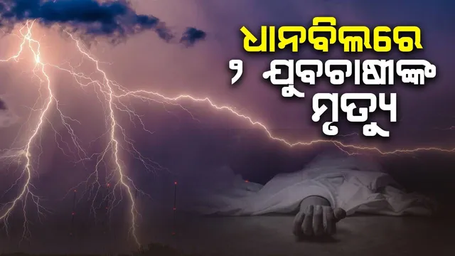 ଧାନବିଲରେ କାମ କରୁଥିଲେ ଯୁବଚାଷୀ: ବଜ୍ରପାତରେ ୨ ଜଣଙ୍କର ମୃତ୍ୟୁ