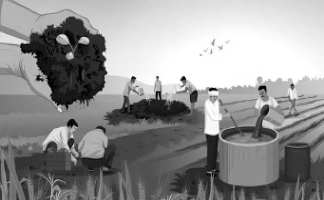 ଆଶା ଓ ଆକାଶ: ଓଡ଼ିଶାରେ ଜୈବକୃଷିର ସମ୍ଭାବନା ଓ ନୂଆ ଦିଗନ୍ତ