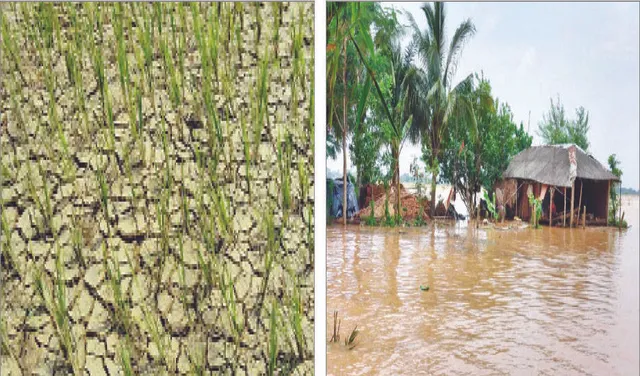 ବିଗିଡ଼ି ଯାଉଛି ପାଣିପାଗ: କେବେ ମରୁଡ଼ି ତ କେବେ ଜଳବନ୍ଦି