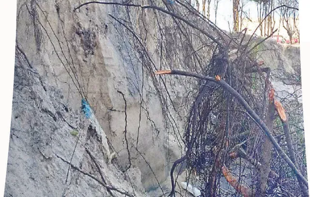 ମାଡ଼ି ଆସୁଛି ସମୁଦ୍ର: ଧ୍ବଂସ ହେଉଛି ଝାଉଁ ଜଙ୍ଗଲ, ଧସୁଛି ଅତଡ଼ା