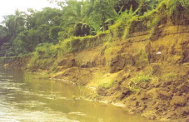 ବିପଦରେ ଚିରସ୍ରୋତା ତେଲ ନଦୀ: ସୀମା ଟପିଲେଣି ଲଘୁ ଖଣିଜ ମାଫିଆ