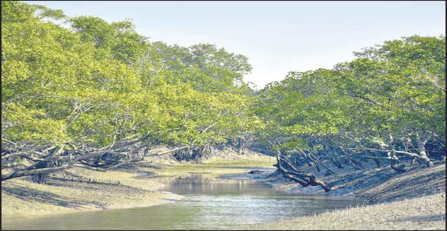 ମାଡ଼ିଆସୁଛି ବିପଦ: ଭିତରକନିକାରେ ହ୍ରାସ ପାଉଛି ମଧୁର ଜଳ