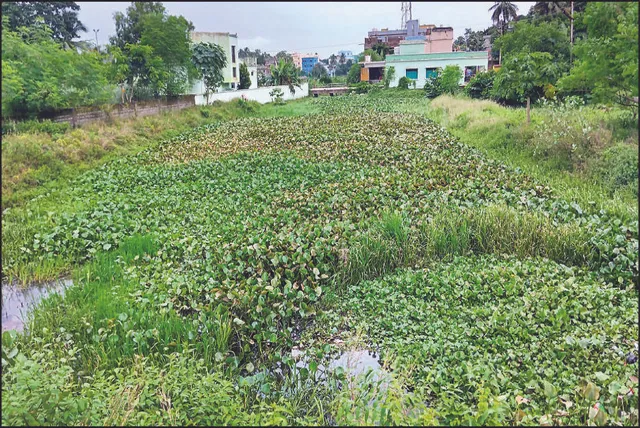 ସତ୍ତା ହରାଉଛି ‘ଅଳକା’ ଜବରଦଖଲ ଯୋଗୁଁ ବନ୍ଦ ହୋଇଗଲାଣି ଜଳପ୍ରବାହ