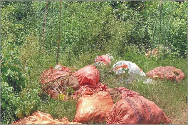 ଏପଟେ ବୃକ୍ଷରୋପଣ, ସେପଟେ ପ୍ରଦୂଷଣ