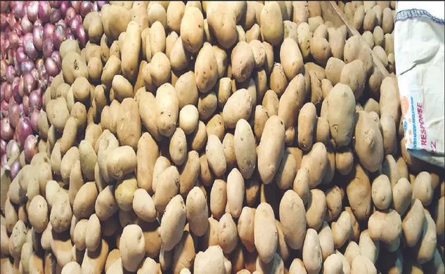 ଓଡ଼ିଶାରେ ଦୂର ହେବ ଆଳୁ ସଂକଟ: ଯୋଗାଣ ପାଇଁ ସବୁଜ ସଂକେତ ଦେଲେ ମମତା