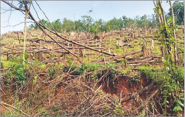 ସ୍ବାଭିମାନ ଅଞ୍ଚଳରେ ବିଗୁଡ଼ୁଛି ସନ୍ତୁଳନ: ପୋଡ଼ୁଚାଷ ପାଇଁ ଜଙ୍ଗଲ ପଦା