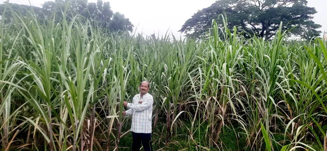 ସେବା ନିବୃତ୍ତ ଯବାନ ଏବେ ସଫଳ ଚାଷୀ: ଆଖୁଚାଷରେ ବର୍ଷକୁ ୫ ଲକ୍ଷ ଆୟ