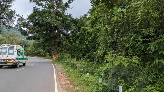 ମାଫିଆଙ୍କ ଲୋଲୁପ ଦୃଷ୍ଟି, ଘାଟିରେ ଚନ୍ଦନ ବଣ ନିଶ୍ଚିହ୍ନ