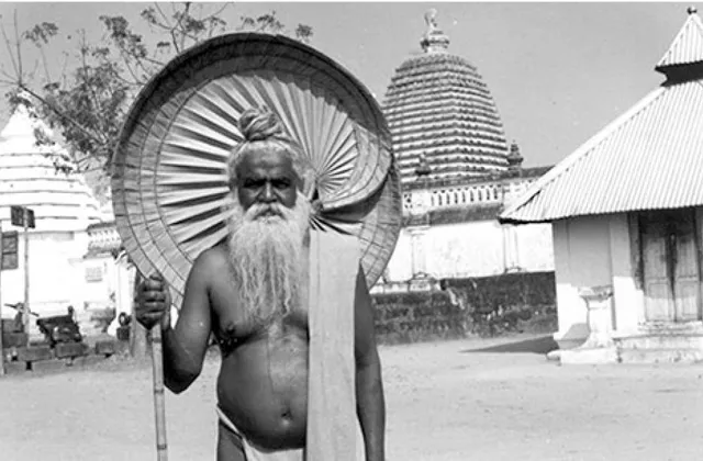 ବହୁବଚନ: ମହିମା ମାହାତ୍ମ୍ୟ