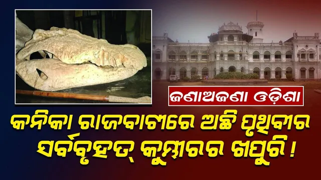 ଜଣାଅଜଣା ଓଡ଼ିଶା: କନିକା ରାଜବାଟୀରେ ଅଛି ପୃଥିବୀର ସର୍ବବୃହତ୍‌ କୁମ୍ଭୀରର ଖପୁରି!