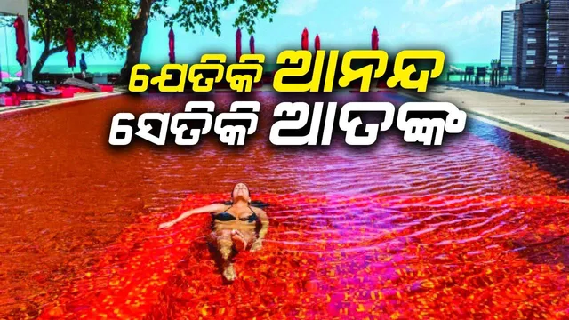 ଯେତିକି ଆନନ୍ଦ ସେତିକି ଆତଙ୍କ