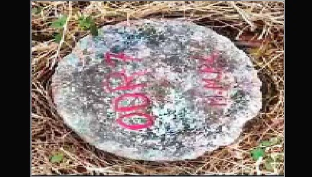 ଦେବଗଡ଼ ଜିଲ୍ଲା ଆଡ଼ସ୍ ଗାଁରେ ସୁନାଖଣି: ୧୦ ଜିଲ୍ଲାରେ ସୁନା, ଖନନ ଯୋଜନା ନାହିଁ