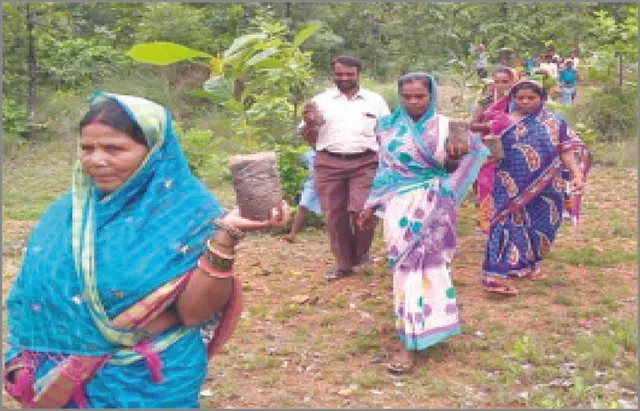 ପାଳି କରି ପହରା: ଗୁରଙ୍ଗ ଗ୍ରାମବାସୀଙ୍କ ପରିବେଶ ପ୍ରୀତି