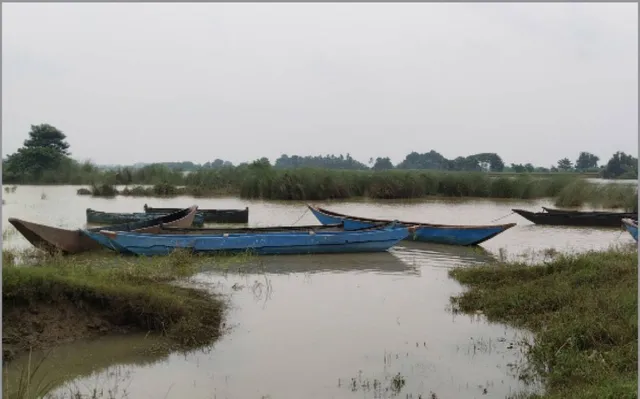 ମହାନଦୀ ଇଲିସି ଏବେ ସାତସପନ: ନଈ, ସମୁଦ୍ର ପ୍ରଦୂଷଣ ମତ୍ସ୍ୟଜୀବୀଙ୍କ ପାଇଁ କାଳ