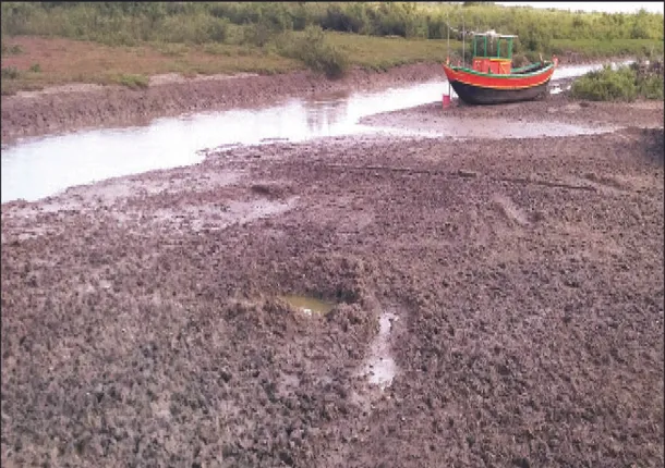 ବିହିତ ପଦକ୍ଷେପ ଲୋଡ଼ା: କଷଣ ଦେଉଛି କଣ୍ଟିଆଚିରା