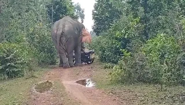 WhatsApp Image 2024-10-26 at 19.06.07