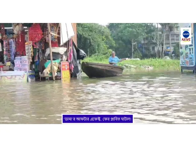 WhatsApp Image 2024-10-28 at 18.11.44