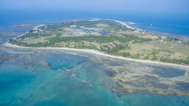 WhatsApp Image 2024-10-28 at 10.51.17