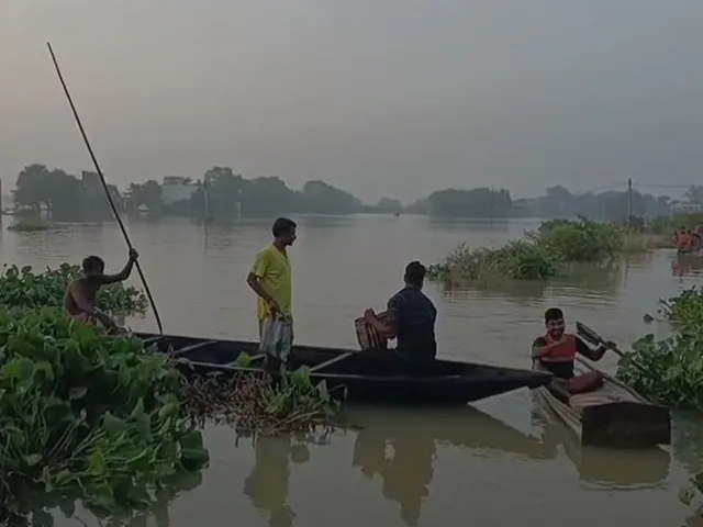 ফ্র