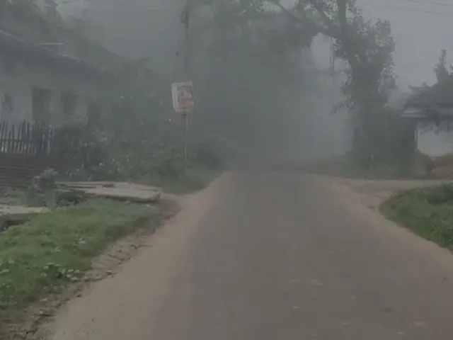 ফ