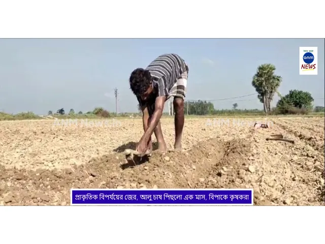 WhatsApp Image 2024-11-11 at 14.54.36