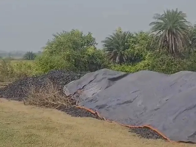 গ