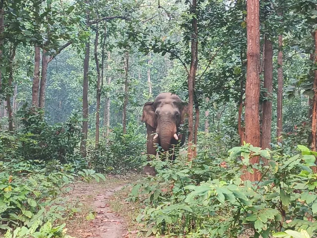 WhatsApp Image 2024-12-09 at 09.41.25