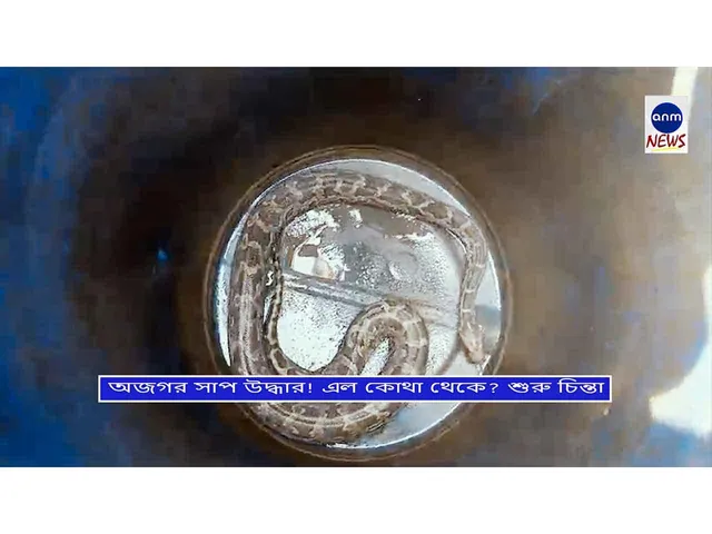 WhatsApp Image 2024-12-11 at 6.55.03 PM