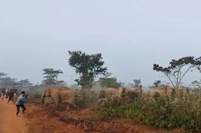 WhatsApp Image 2025-01-01 at 19.55.16