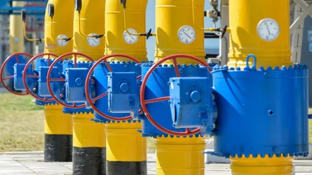 Oil