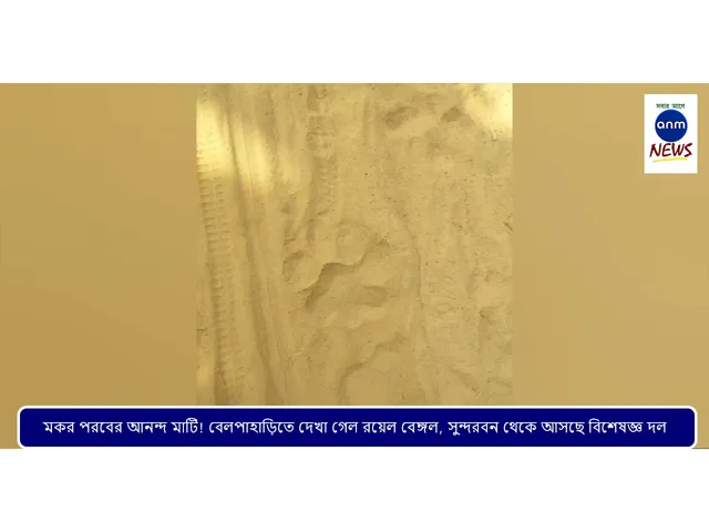 WhatsApp Image 2025-01-13 at 12.21.29 PM