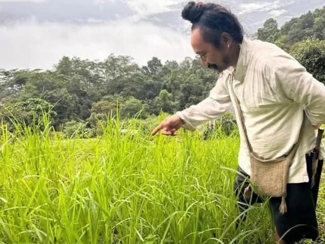 WhatsApp Image 2025-01-25 at 19.14.04