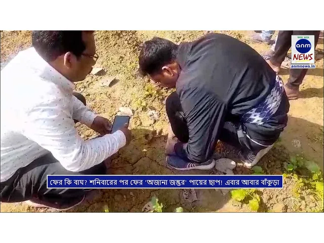 8ff790dd-1eab-4d30-a5a6-18bc82938f95