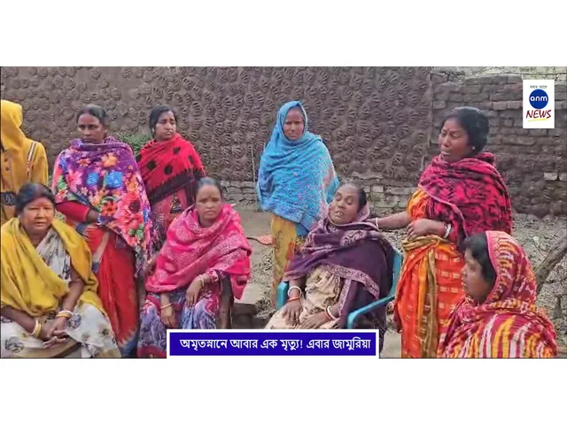 WhatsApp Image 2025-01-31 at 3.30.51 PM