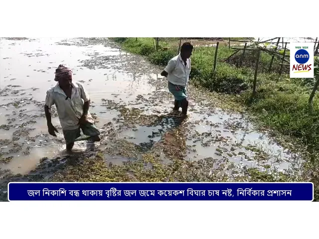 WhatsApp Image 2025-02-17 at 19.10.49