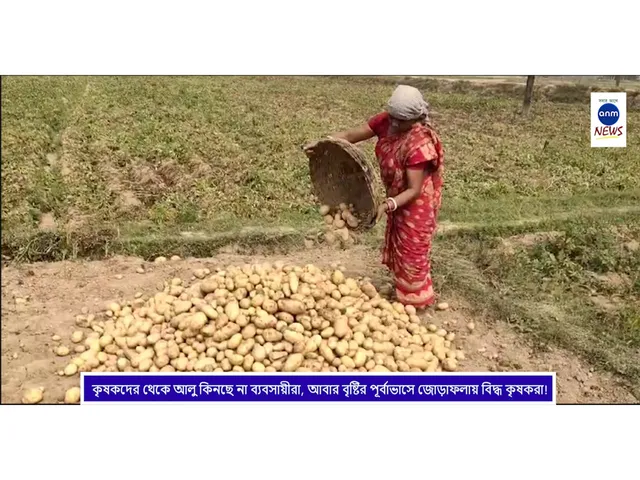 WhatsApp Image 2025-02-19 at 12.42.34 PM