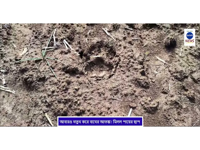 WhatsApp Image 2025-02-24 at 4.39.44 PM