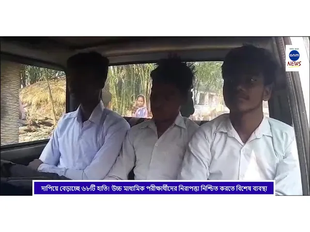 WhatsApp Image 2025-03-03 at 2.05.37 PM