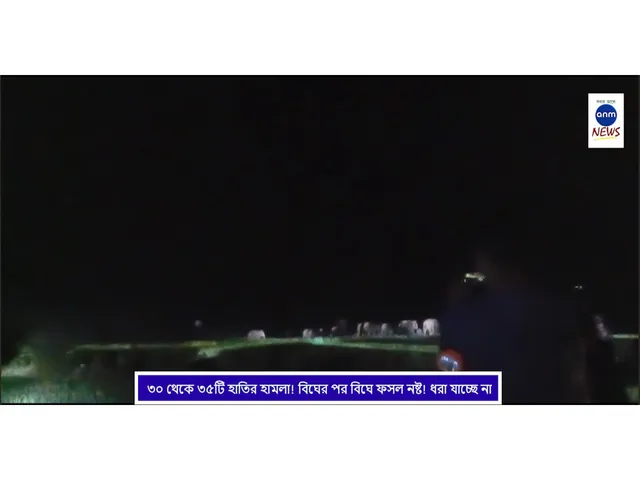 WhatsApp Image 2025-03-17 at 1.26.21 PM