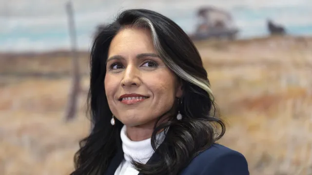 tulsi gabbard
