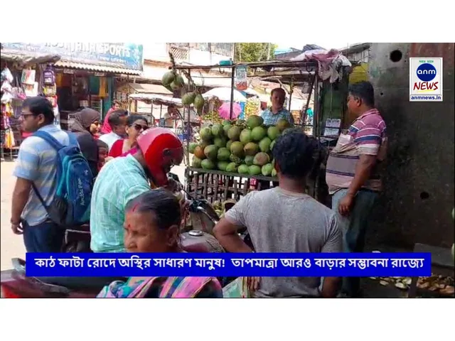 WhatsApp Image 2025-03-29 at 4.39.32 PM