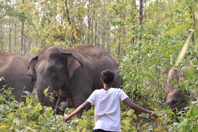 WhatsApp Image 2025-03-31 at 9.08.50 PM