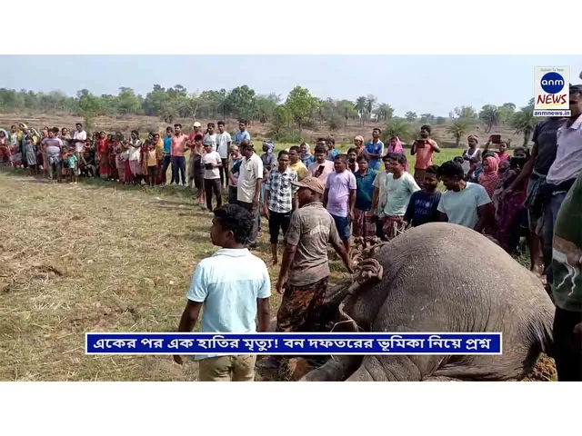 WhatsApp Image 2025-04-17 at 5.39.27 PM